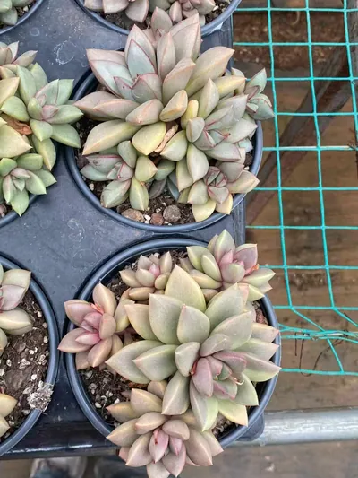 General — photo 3 of 4